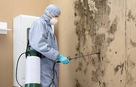 Best Biohazard Mold Removal  in Smithville, TX